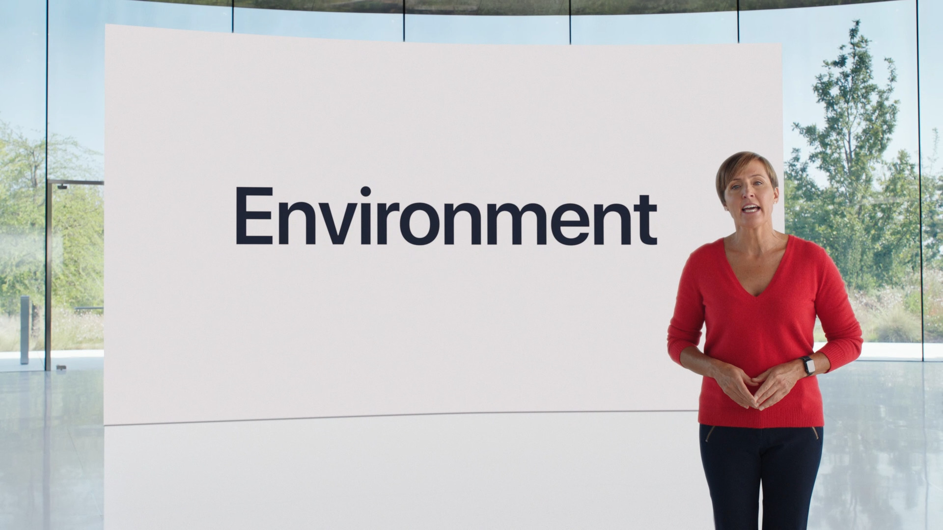 environment presentation