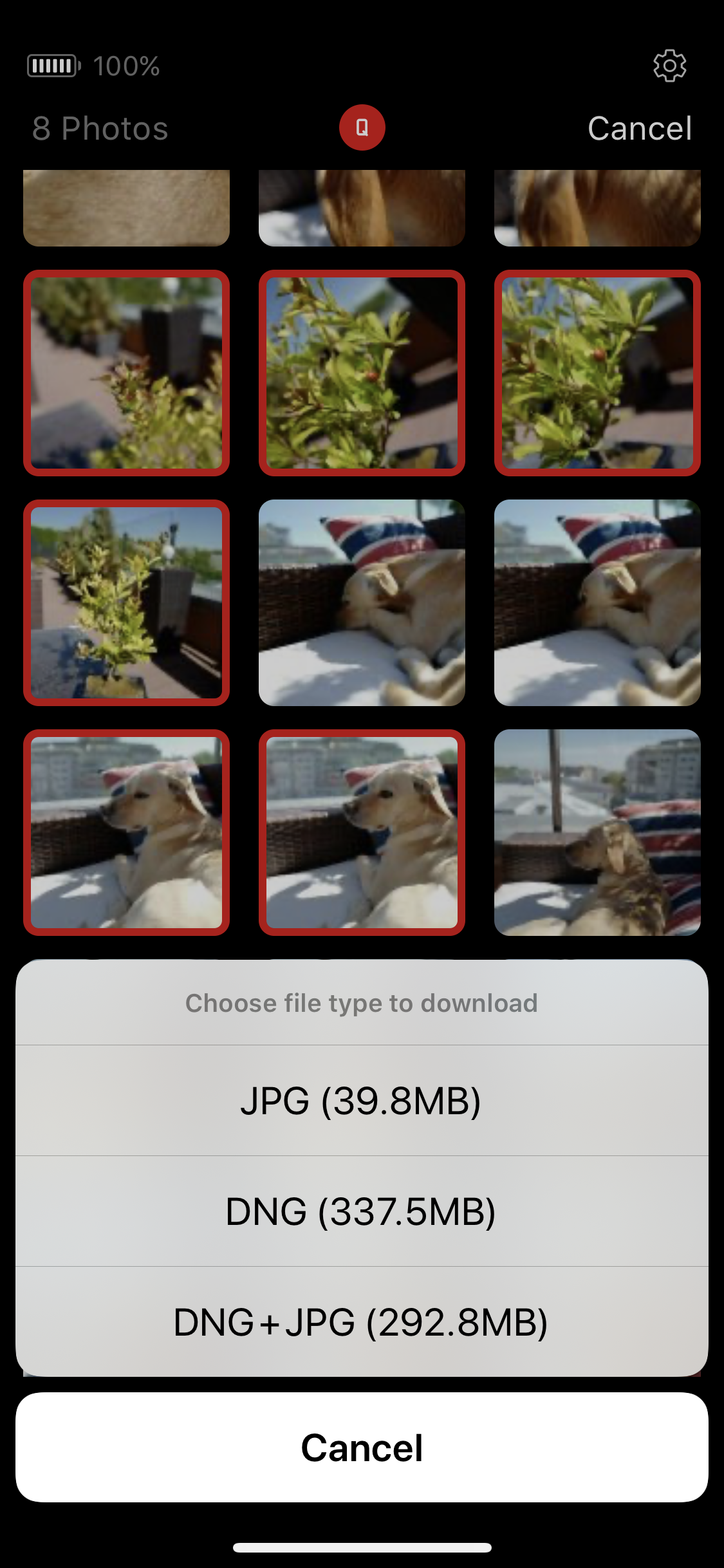 leica photo download options