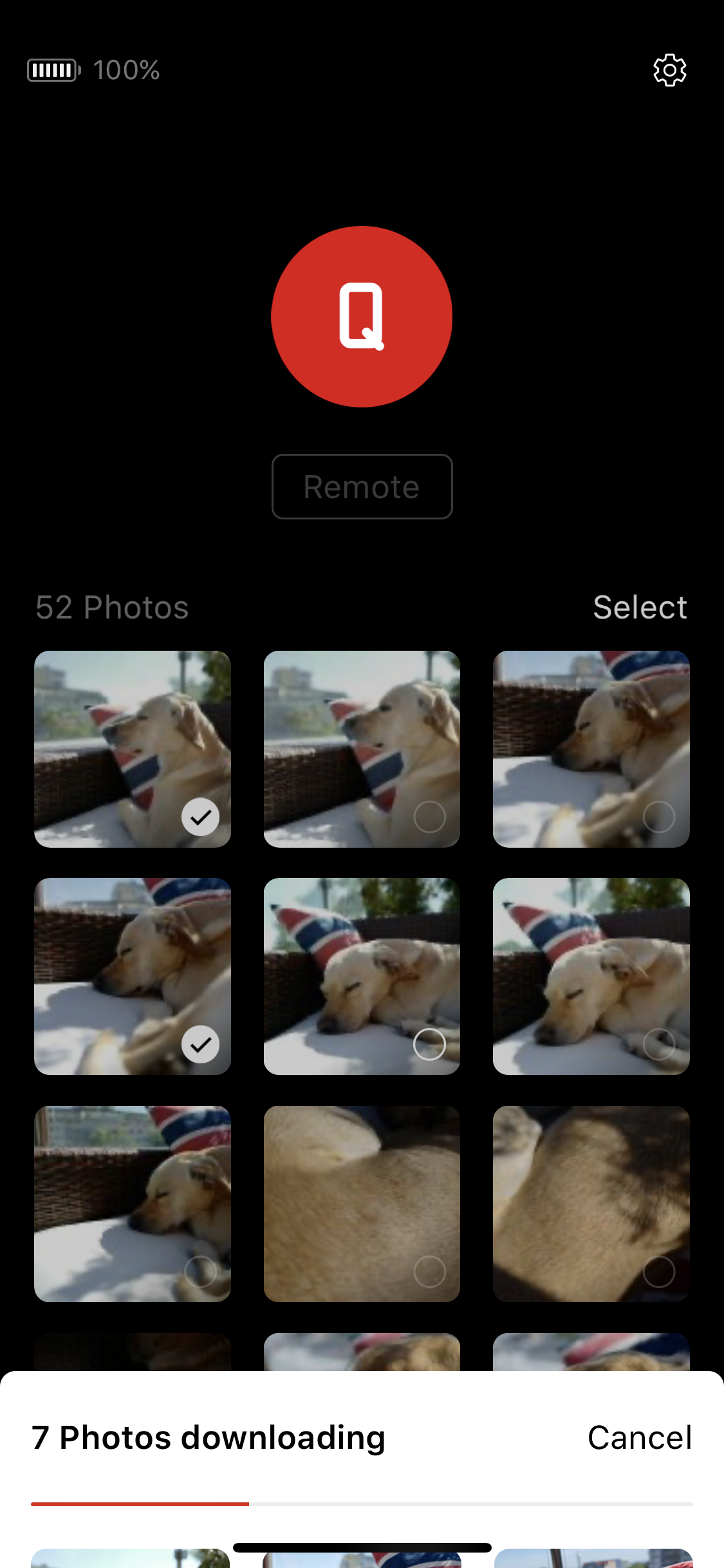 leica photo download screen