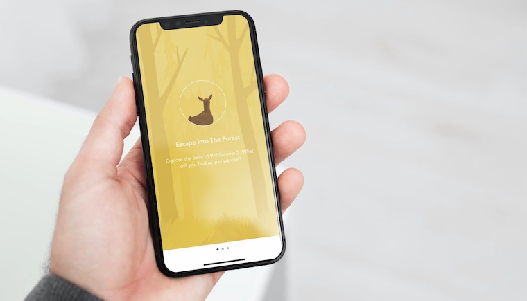 Wildfulness iPhone fb