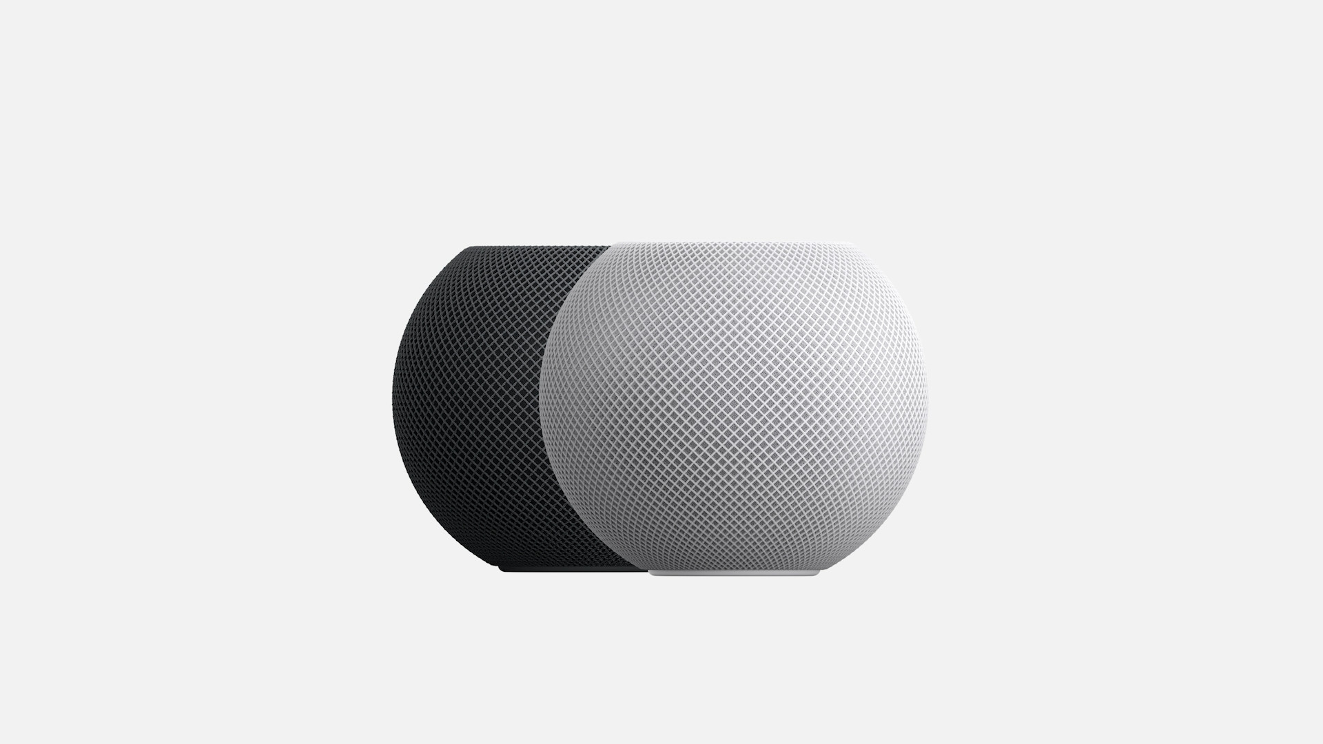 black and white smart speakers