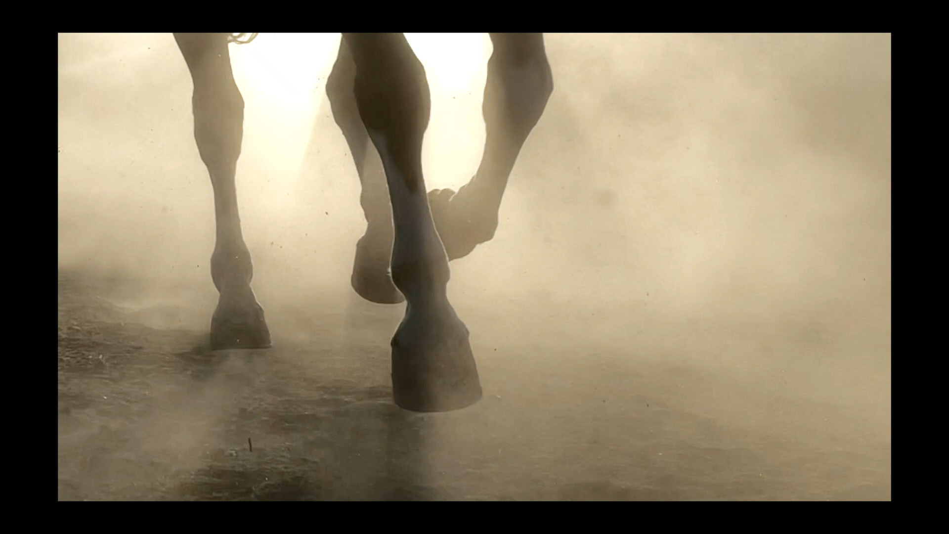 horse hooves in dust