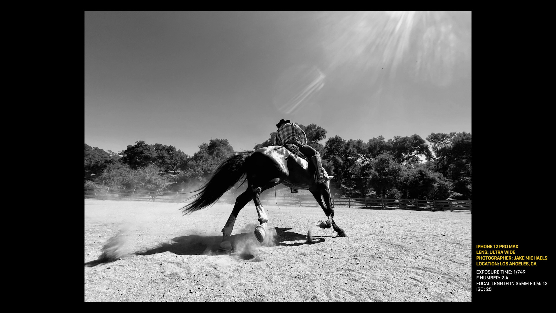 horse rider action shot
