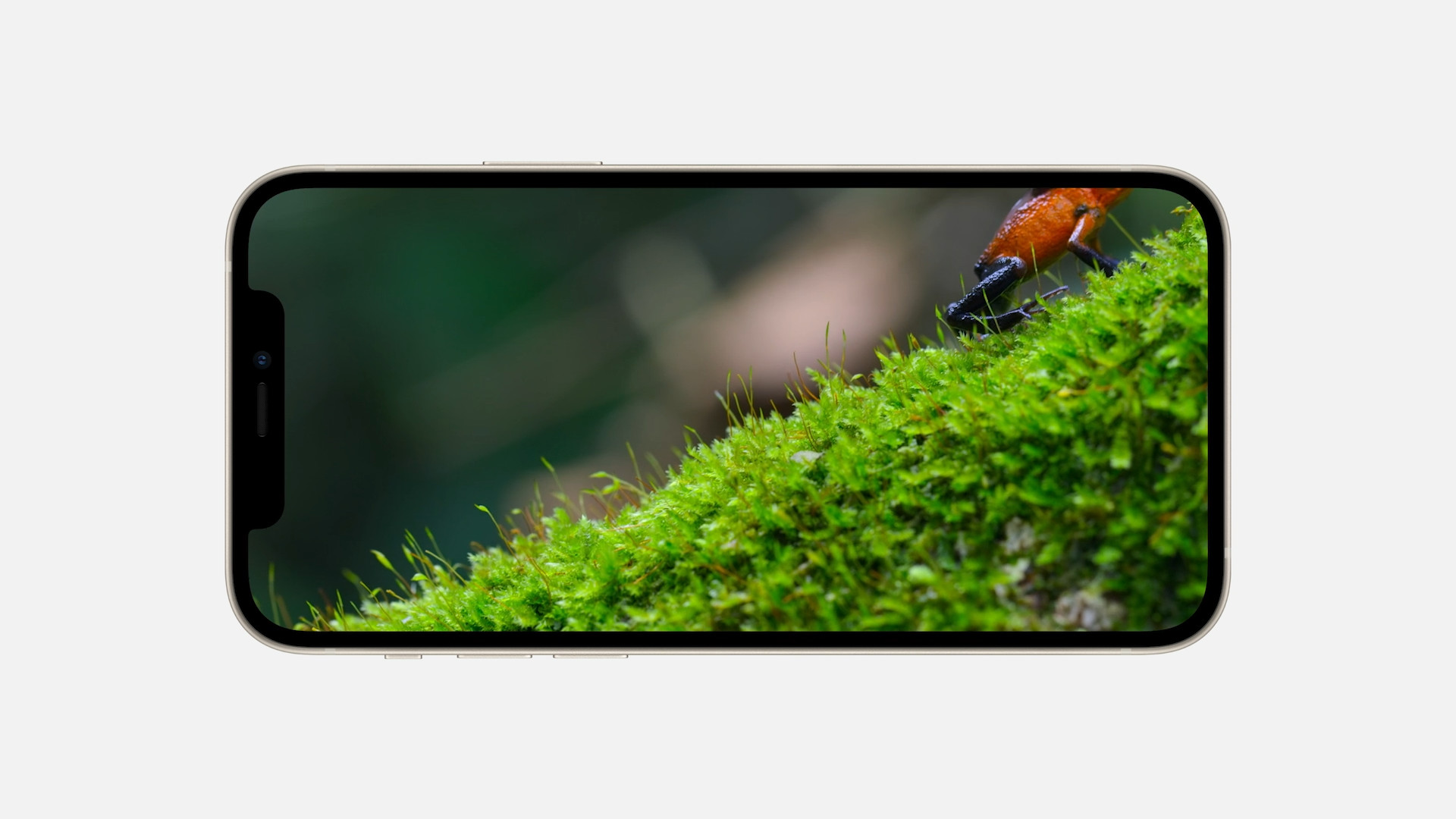 iphone 12 nature display
