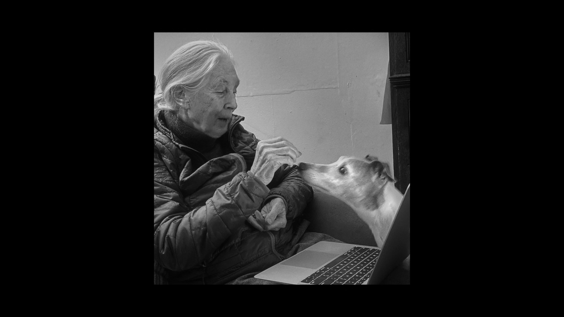elderly person with dog and laptop