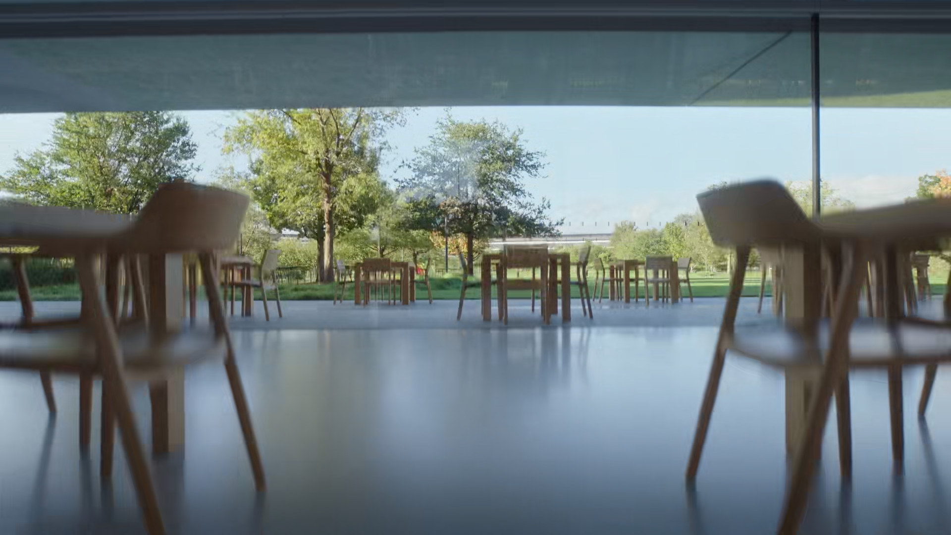 empty cafe with view of garden
