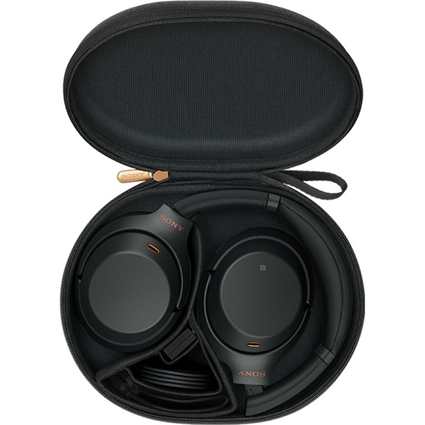 headphones in carrying case