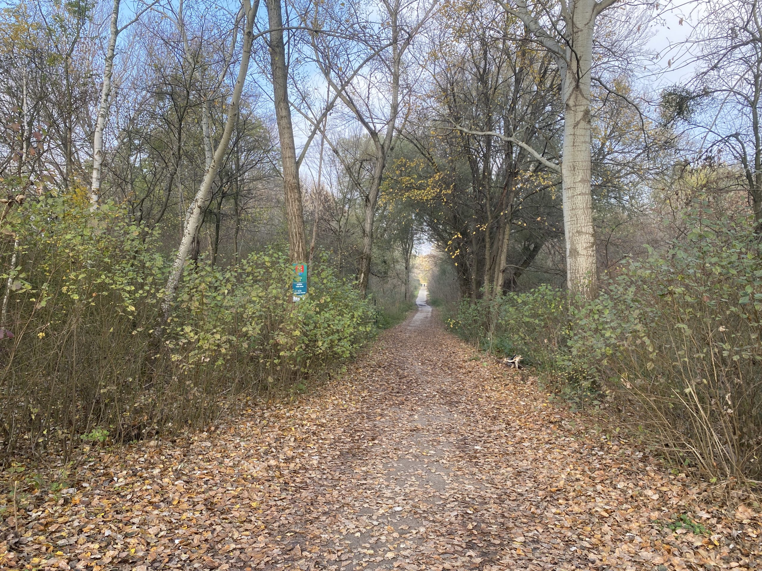 iPhone 11 Pro foto test 3