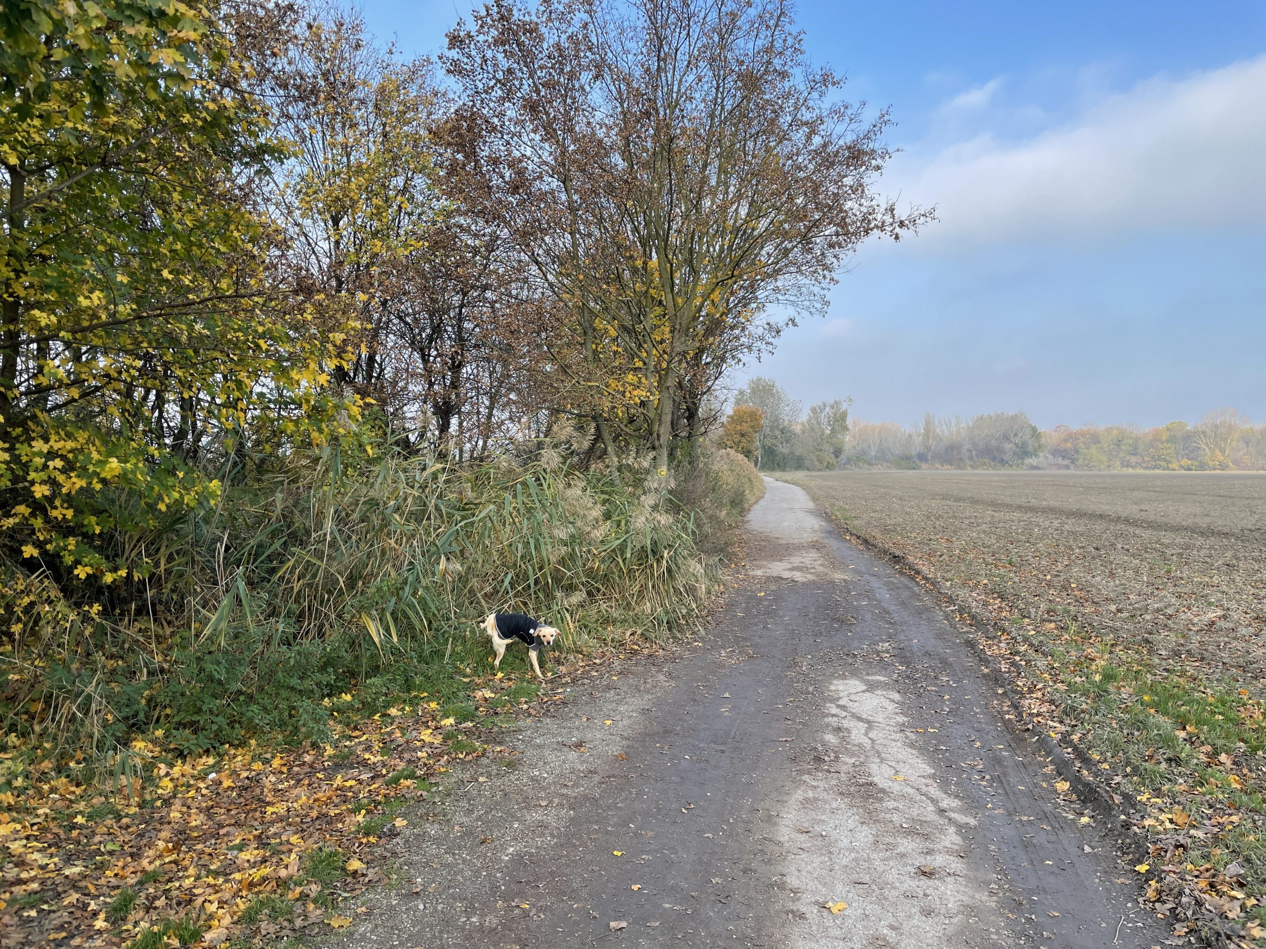 iPhone 12 Pro test 1