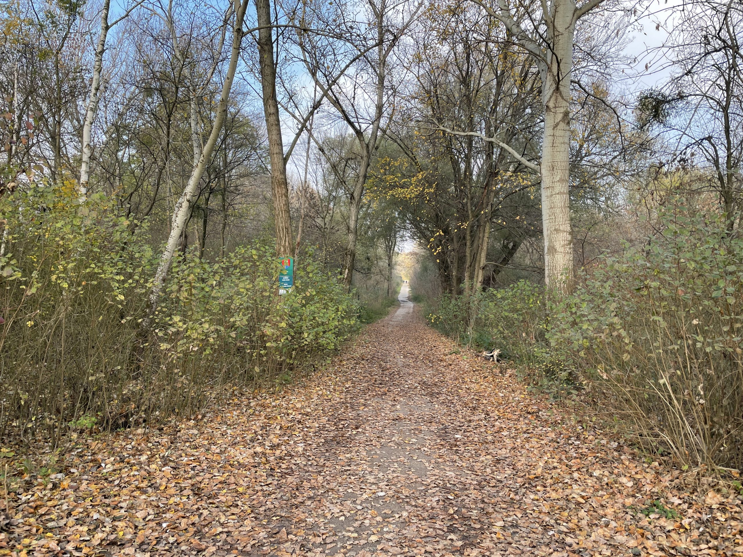 iPhone 12 Pro test 3