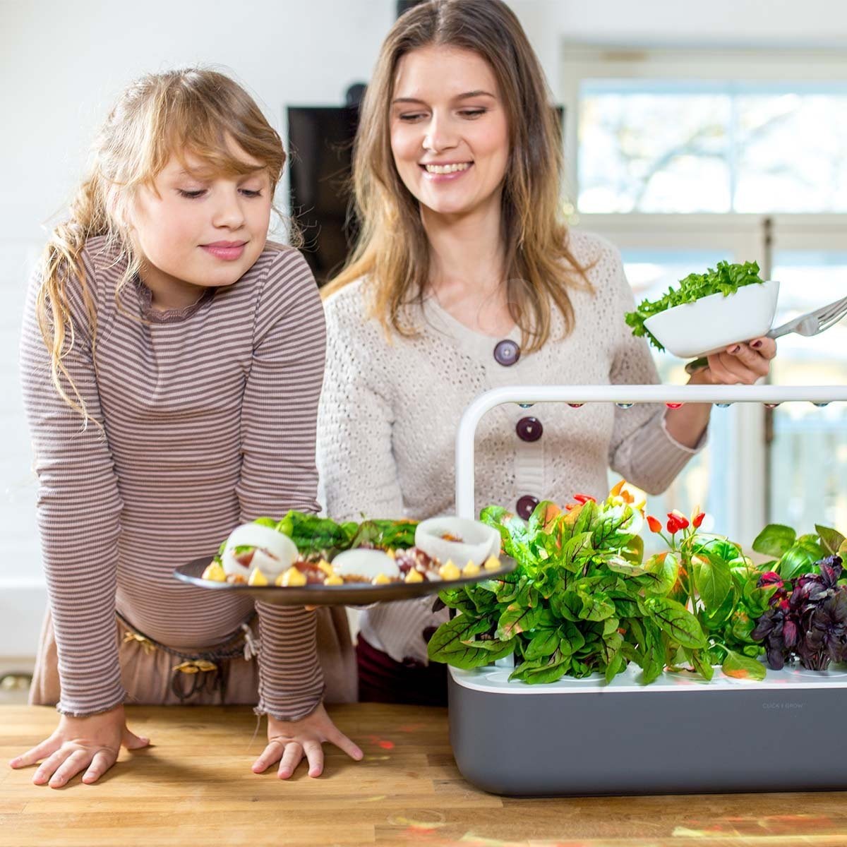 indoor garden with plants