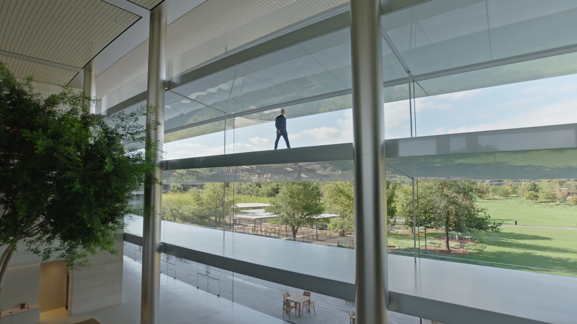 modern office interior with trees