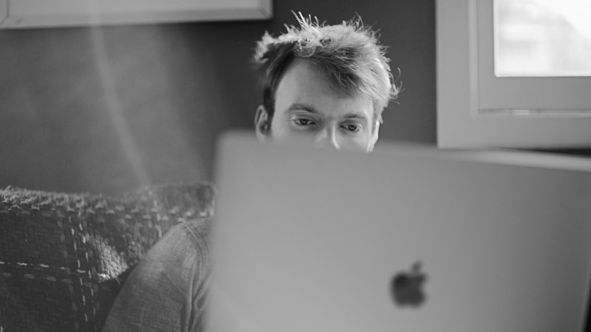 person looking at laptop