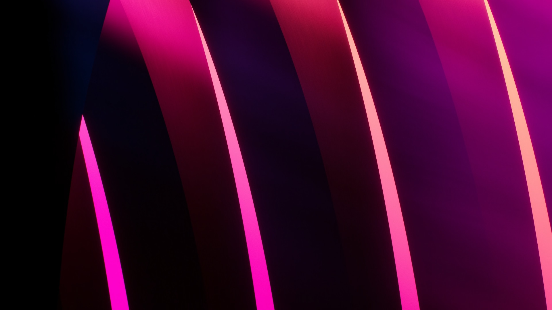 pink and purple abstract lines
