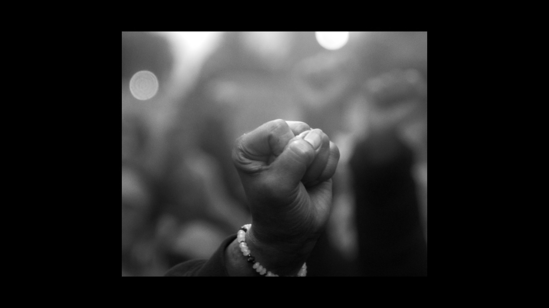 raised fist in crowd
