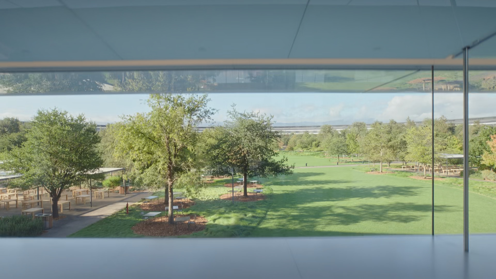 view of green landscape from office