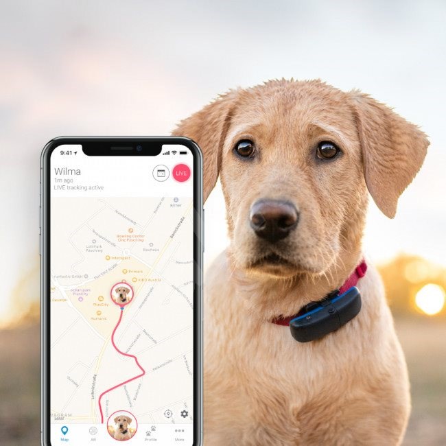 Tracktive GPS tracker