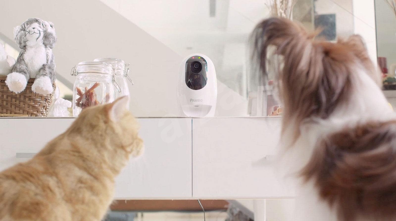 Dávkovač pamlsků Pawbo Smart