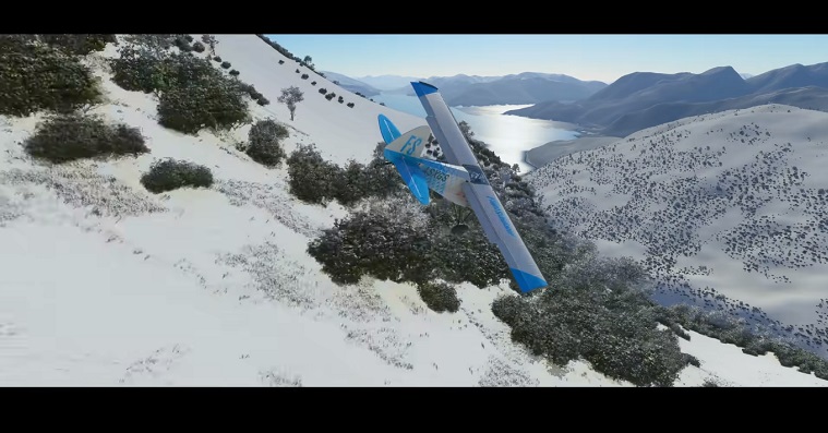 Microsoft Flight Simulator