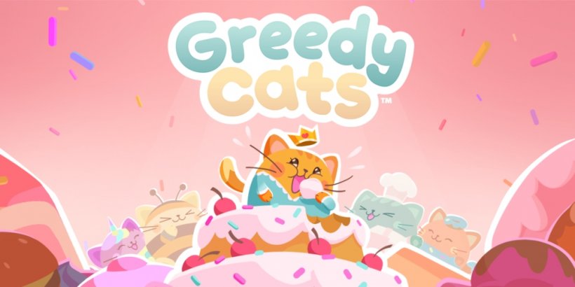 Greedy Cats - kočka jí dort
