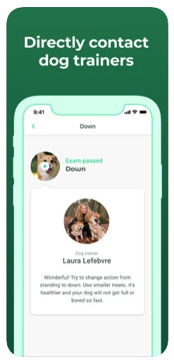 contact dog trainers