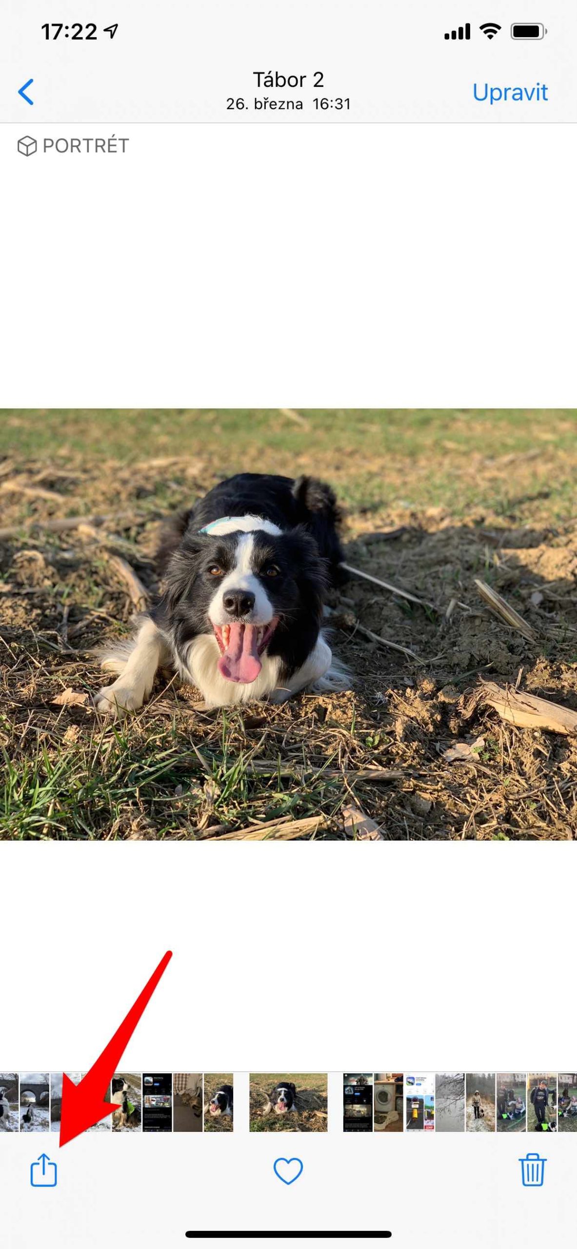 iphone photo share button