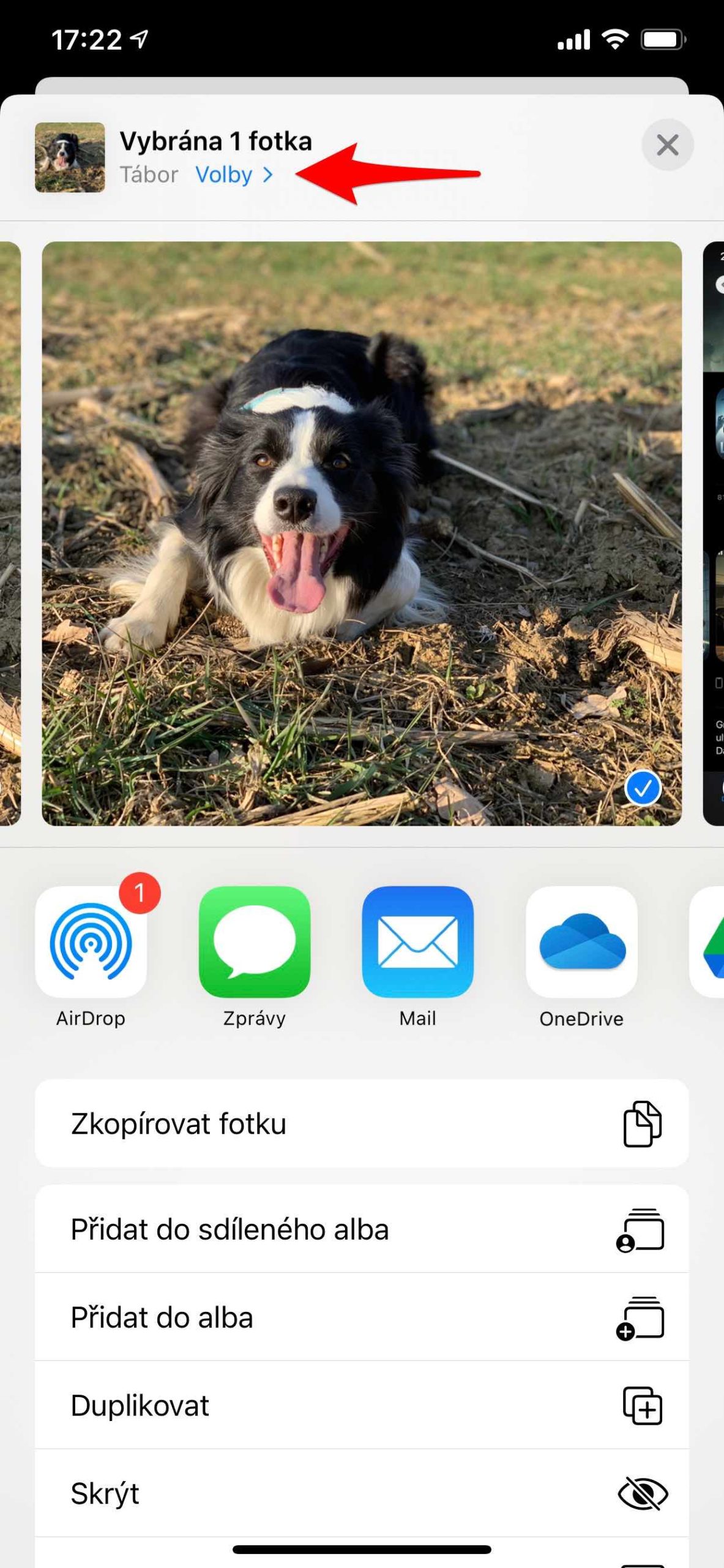 iphone photo share options