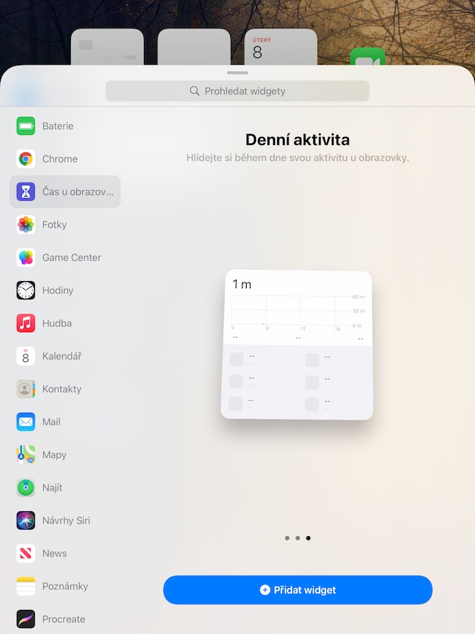 iPadOS 15 beta 13 iPadOS 15 beta