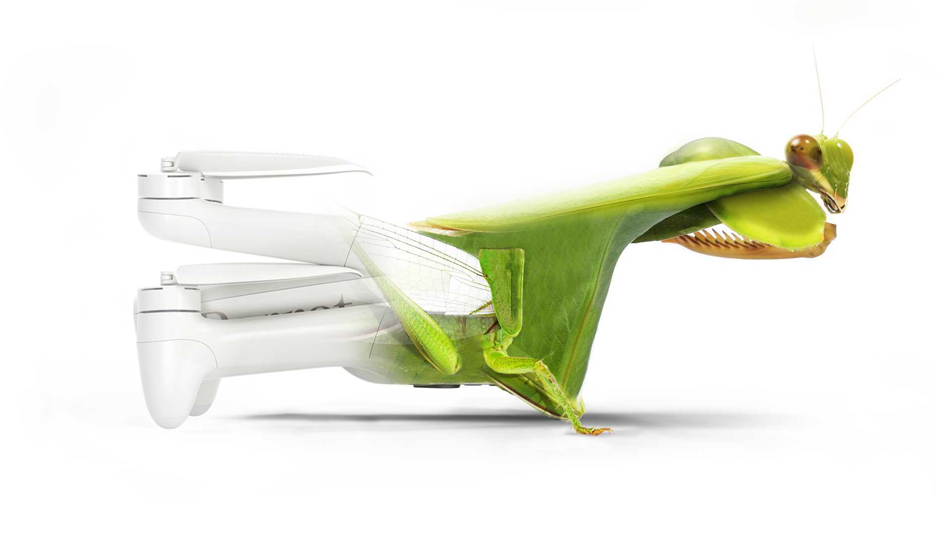 ANAFI Ai biomimetic2