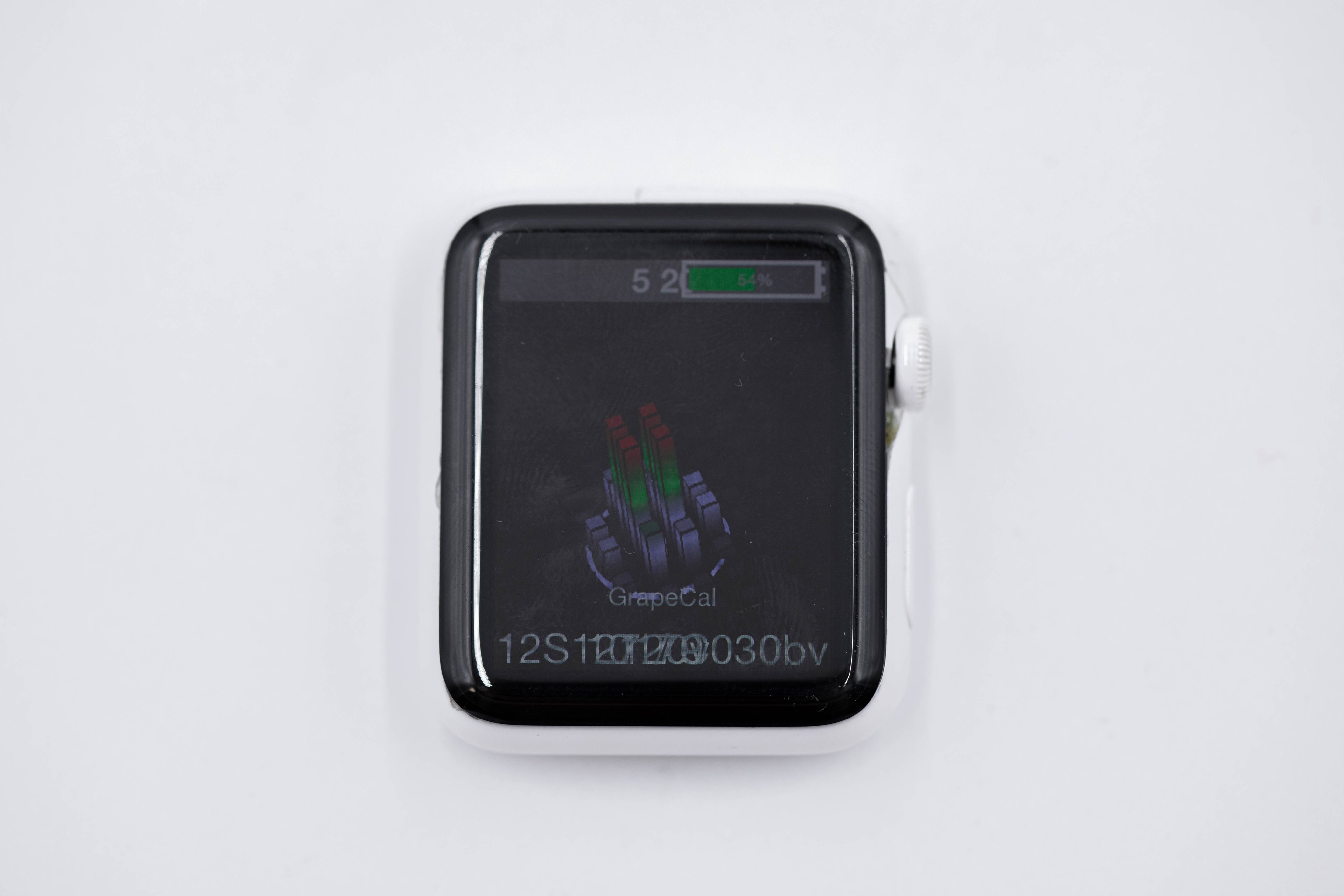 Apple Watch Prototype Apple Watch Prototype