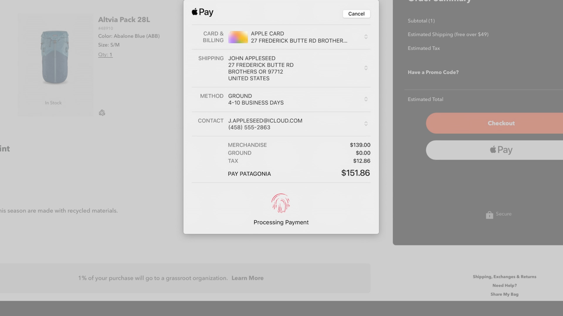 apple pay checkout screen
