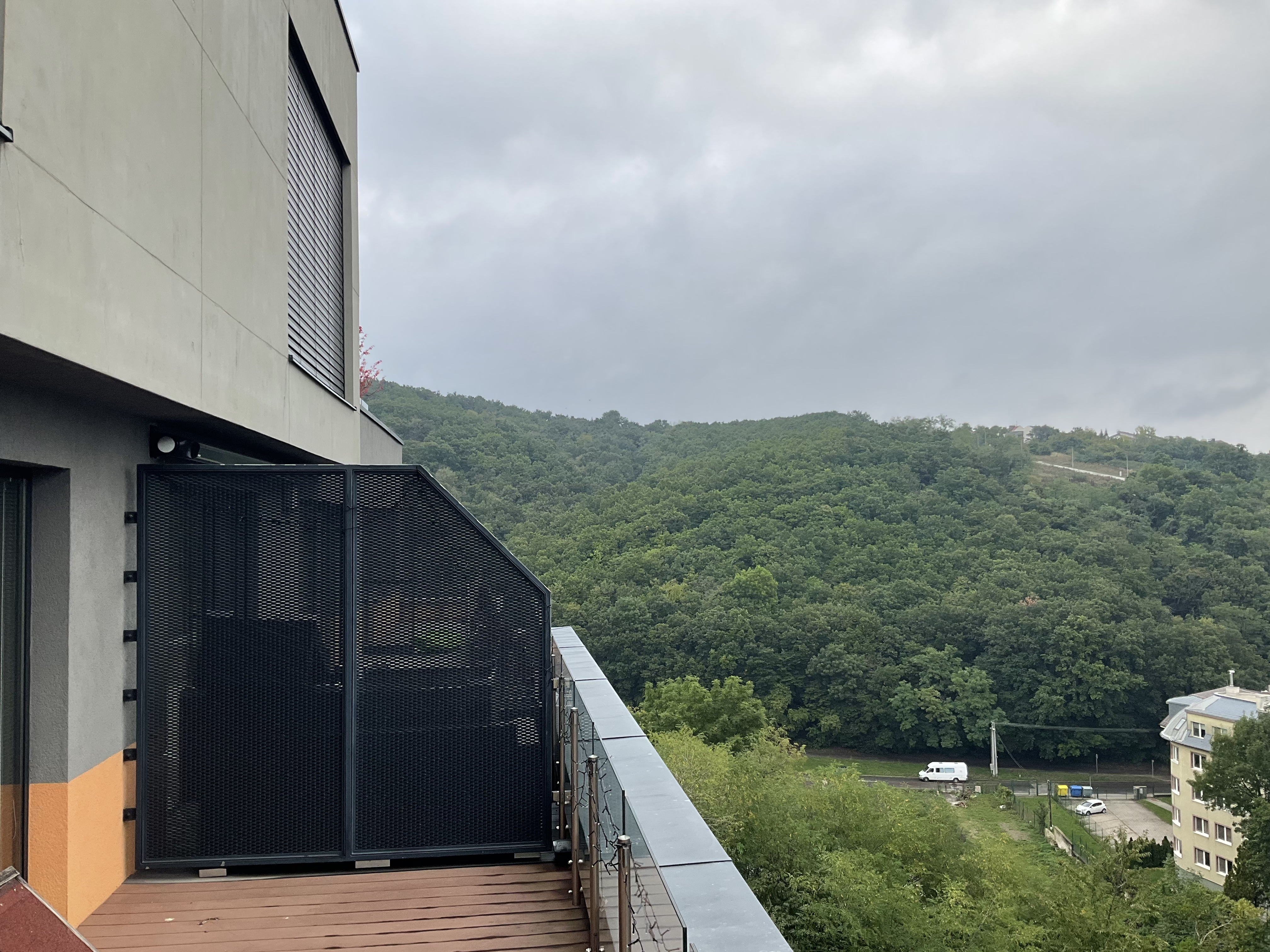 balcony view over forest