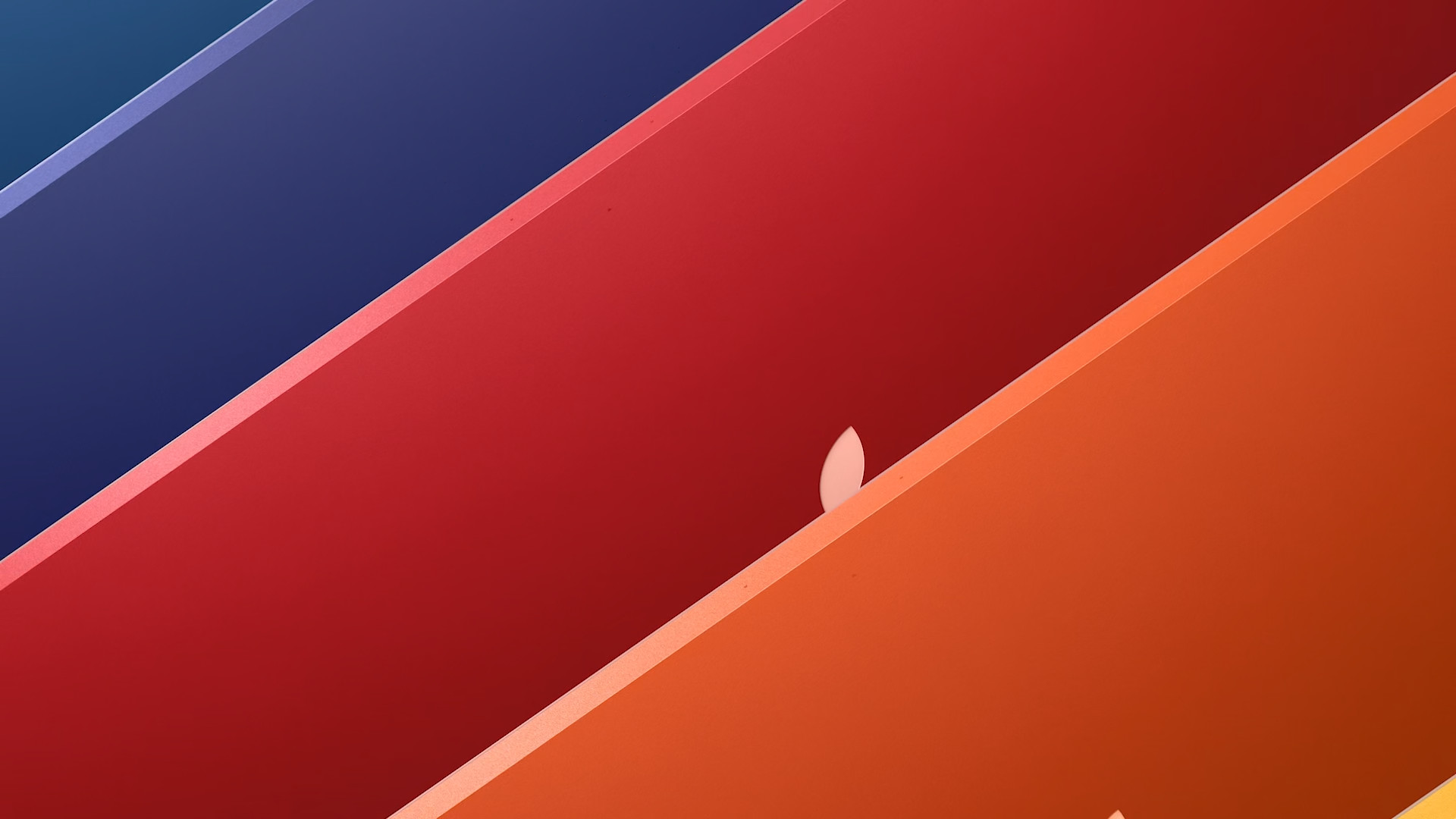 closeup colorful apple backs