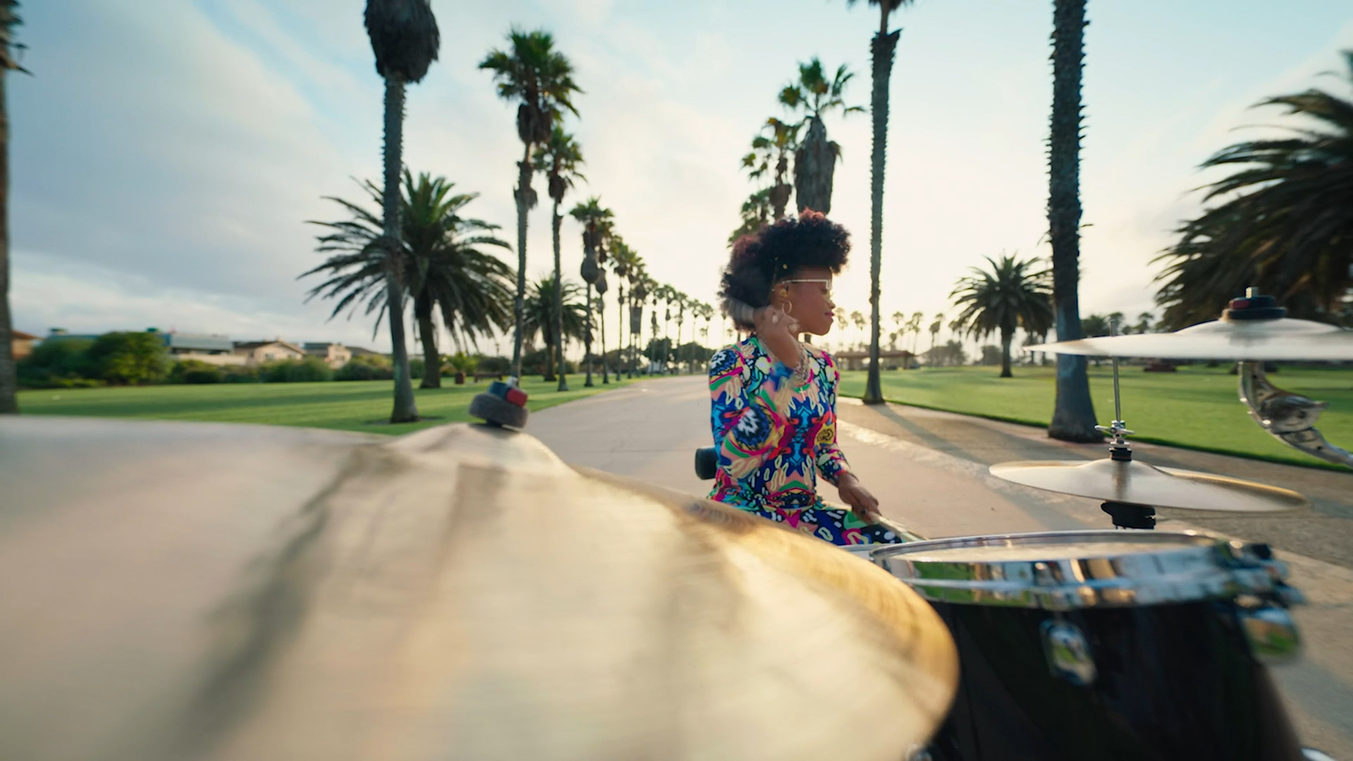 drummer palm tree lined road