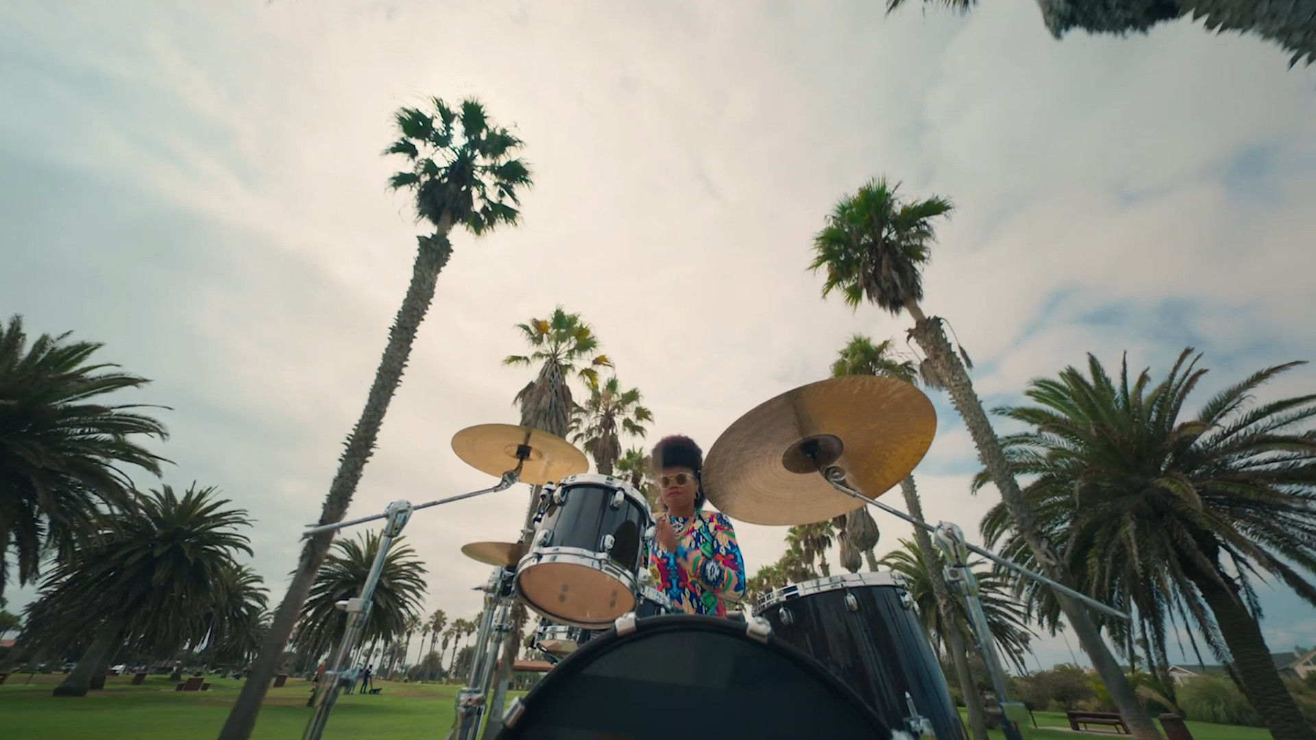 drummer palm trees park