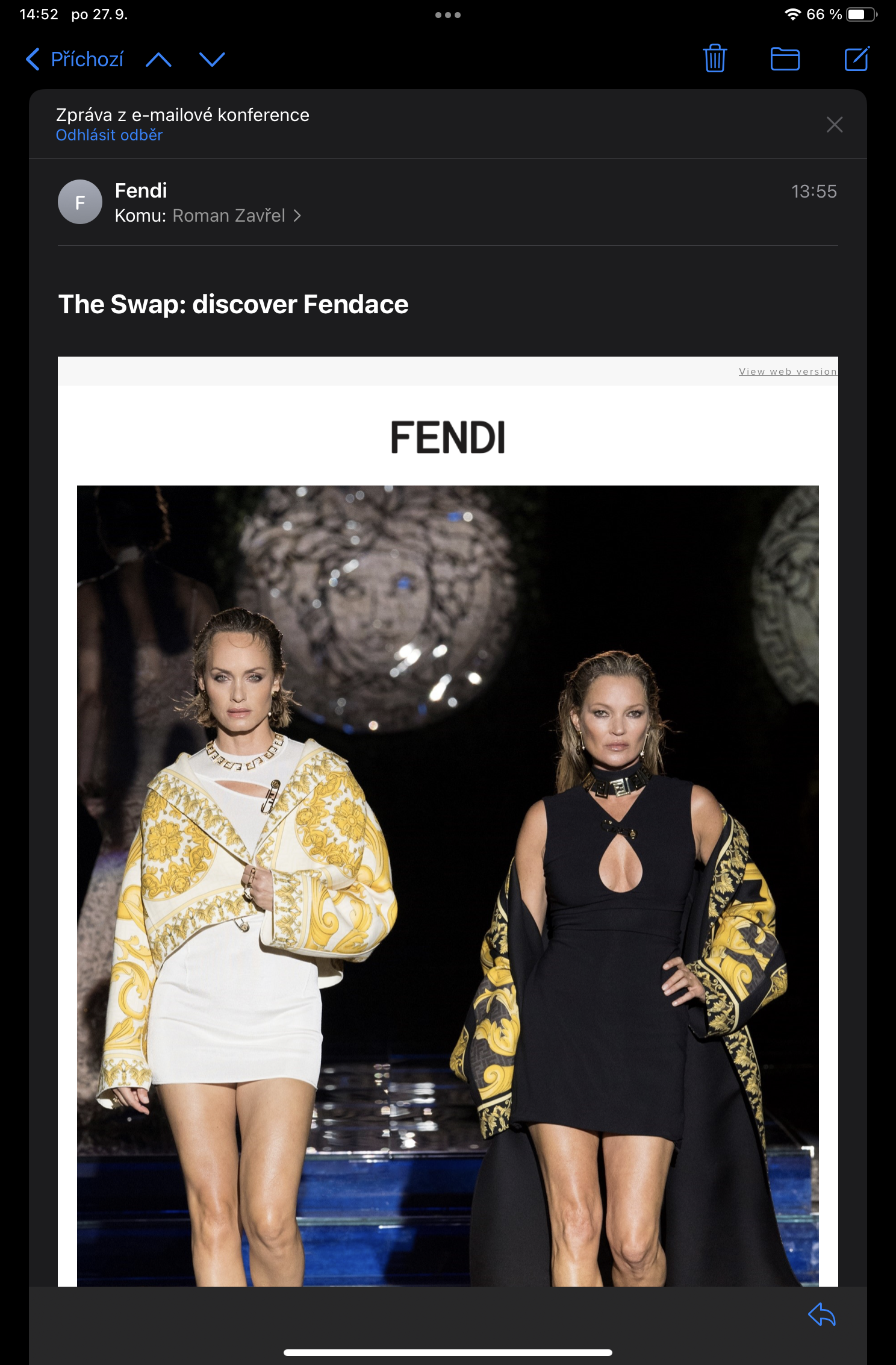 fashion show email preview