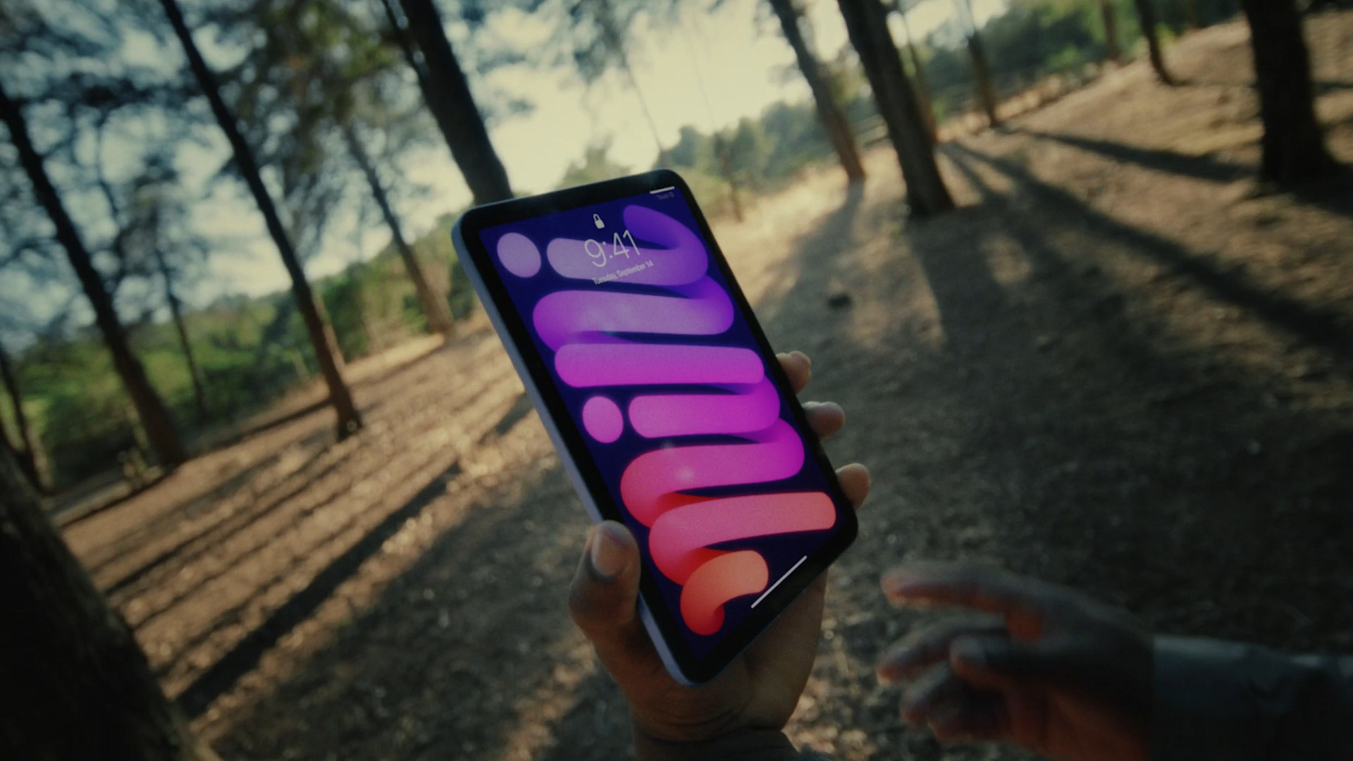 ipad mini forest display