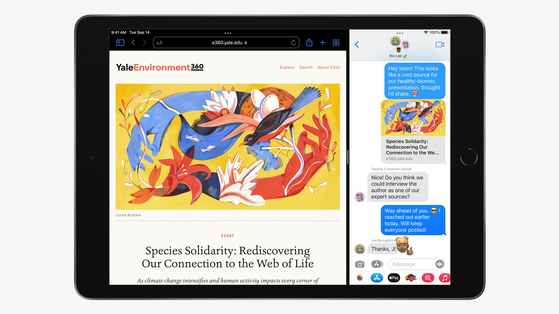 ipad web browsing messages
