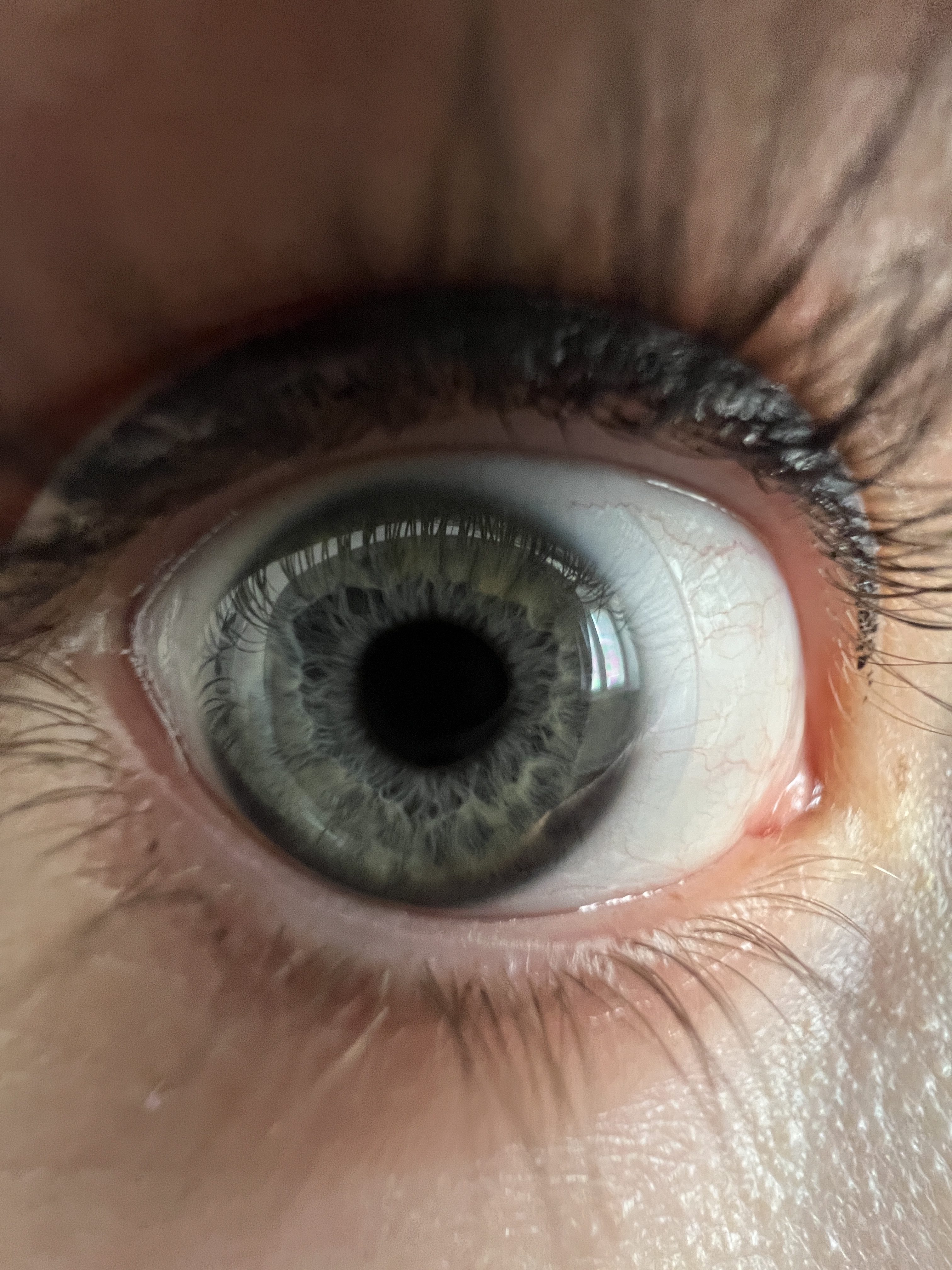 iPhone 13 Pro Max makro