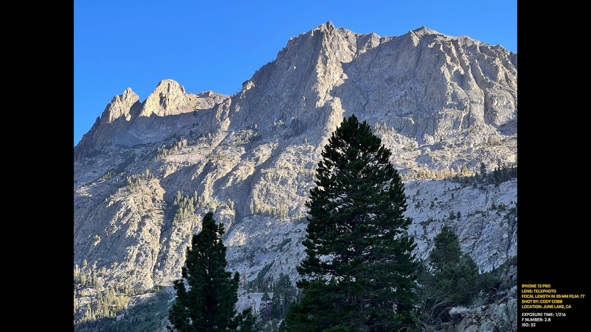 mountain landscape with trees