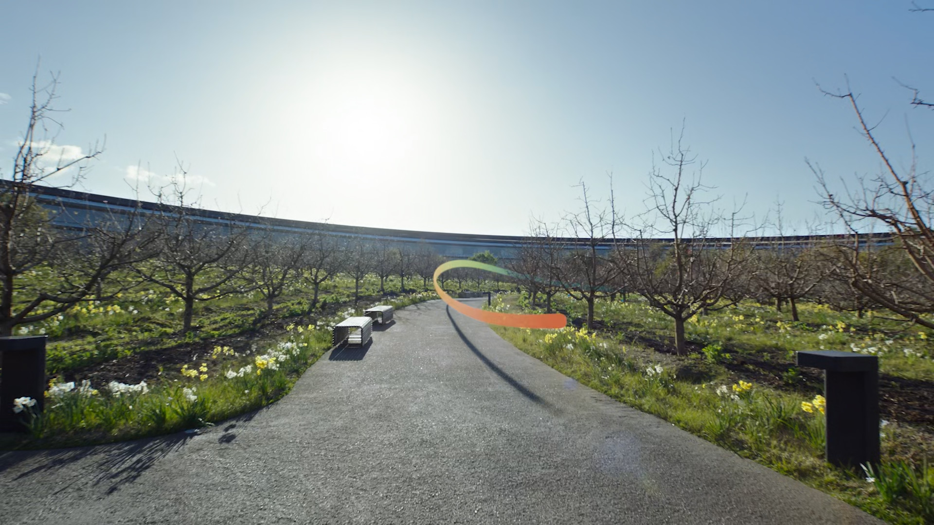 pathway with orange ribbon