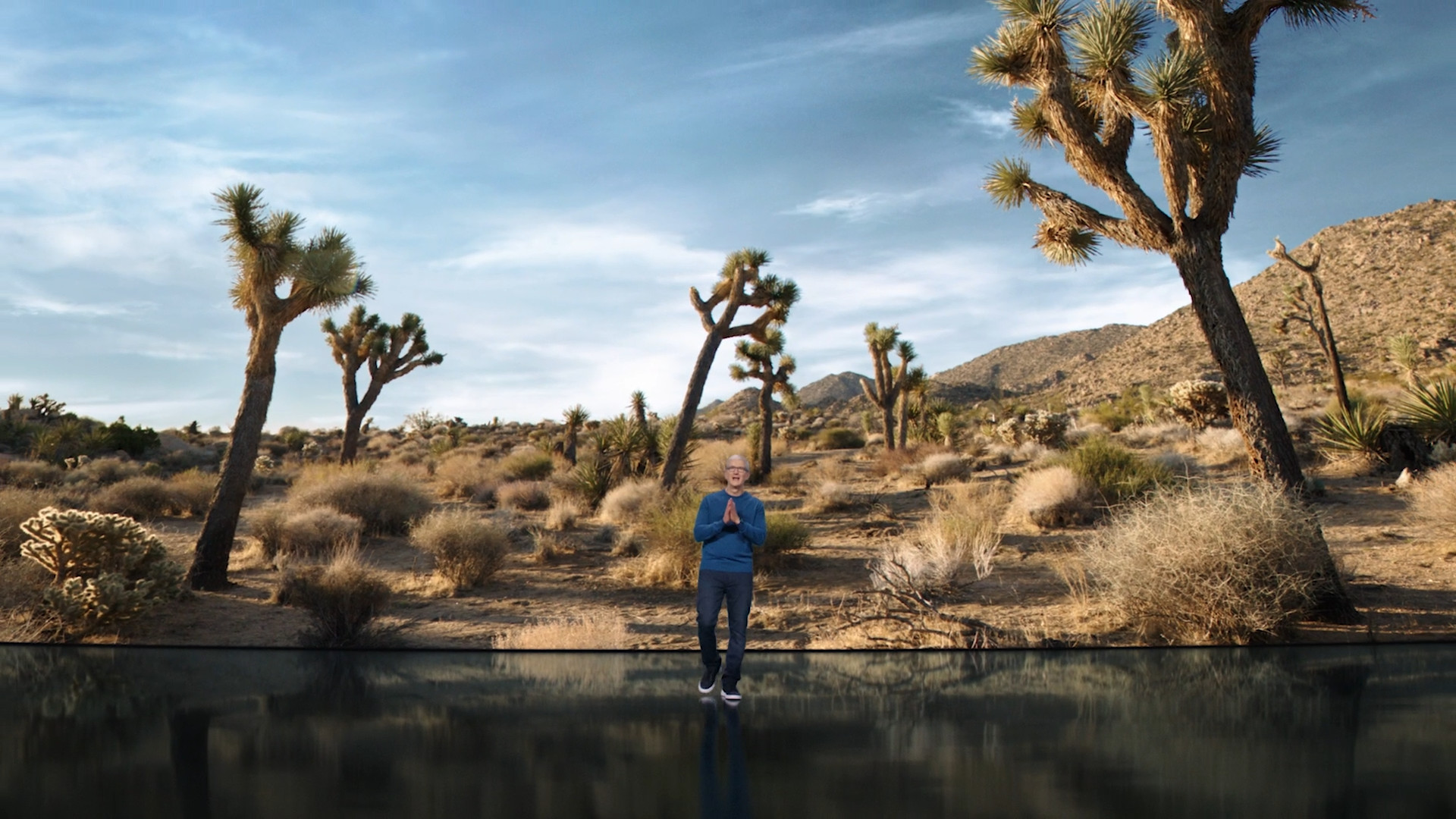 person in desert landscape hands clasped