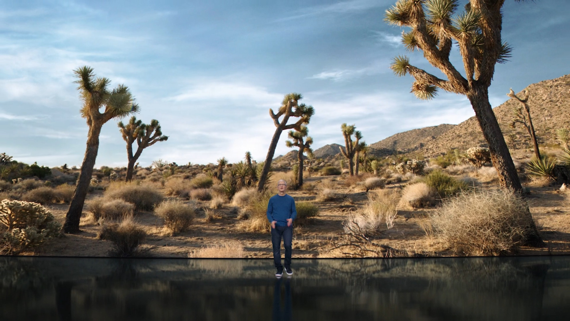 person in desert landscape
