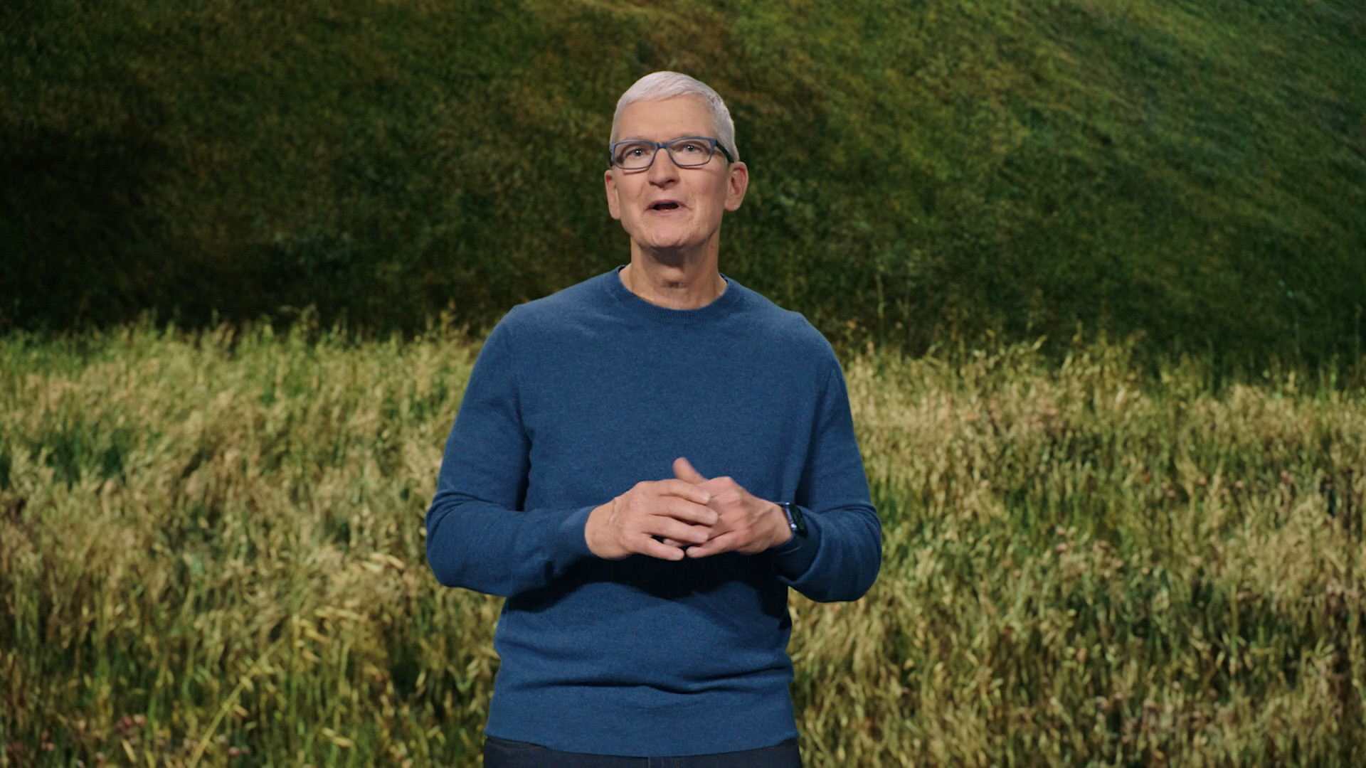 person in front of grass field