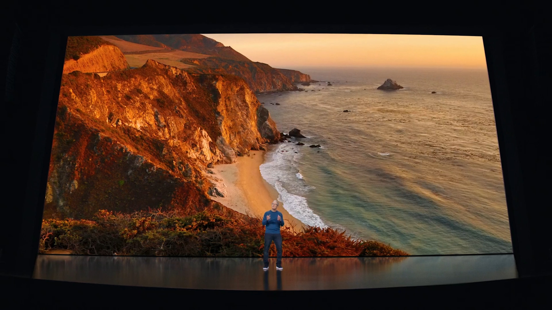 person in front of ocean cliffs