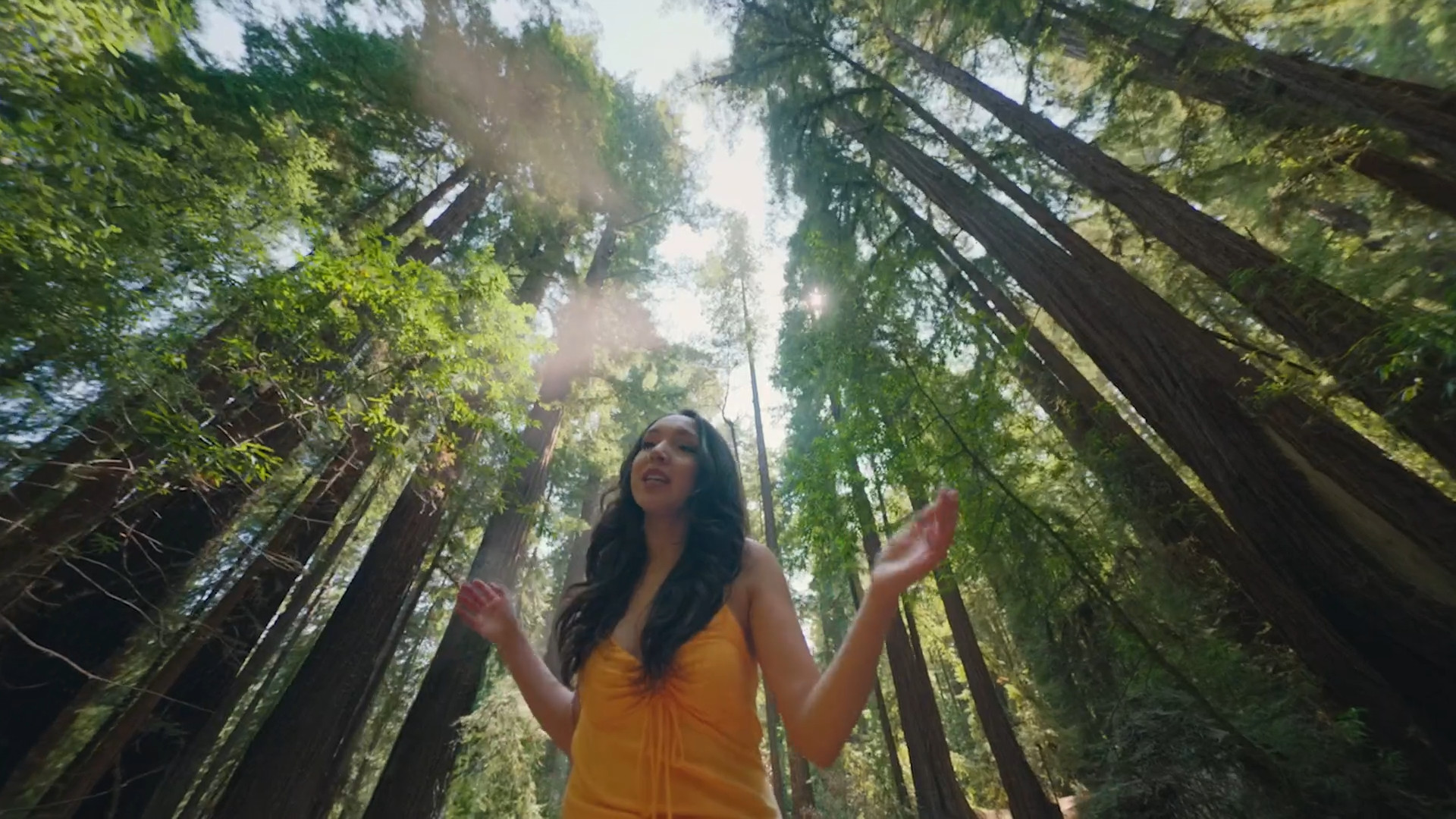 person in redwood forest