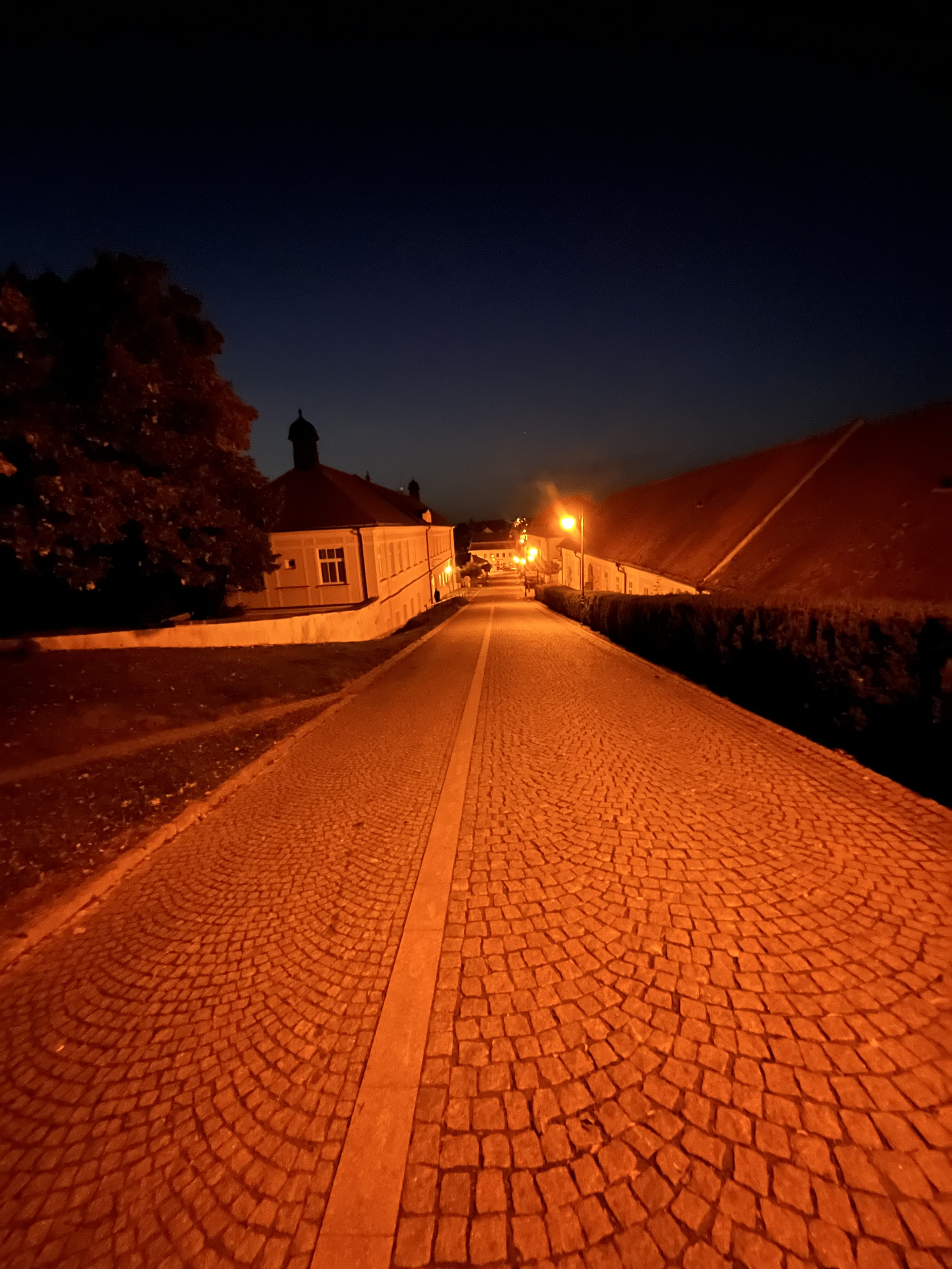 cobblestone street night