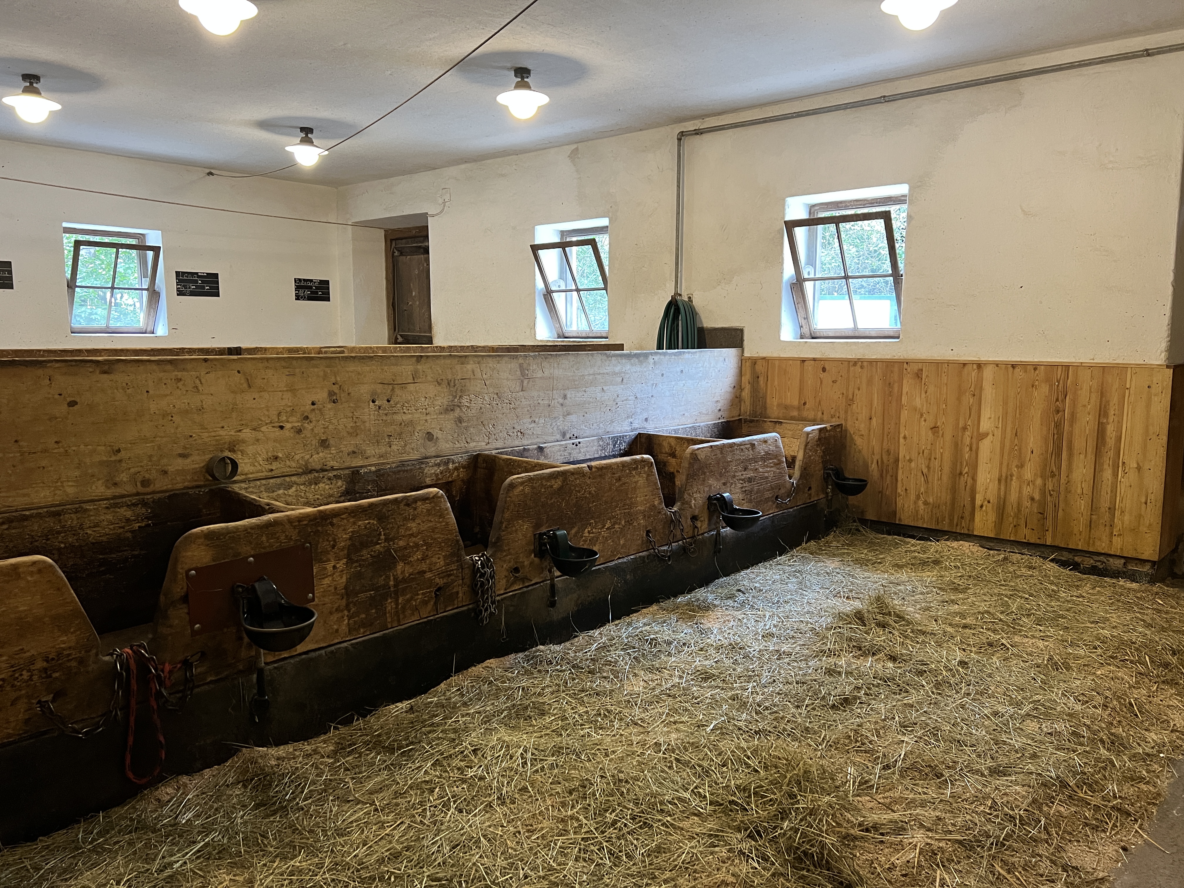 empty stable interior