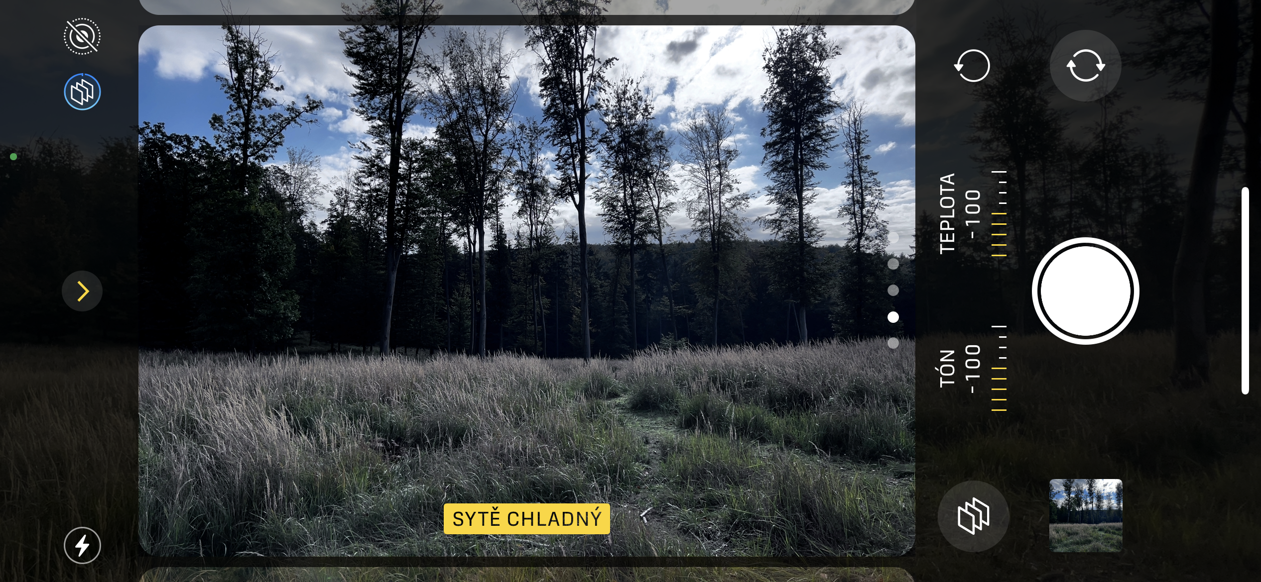 forest view camera cool filter