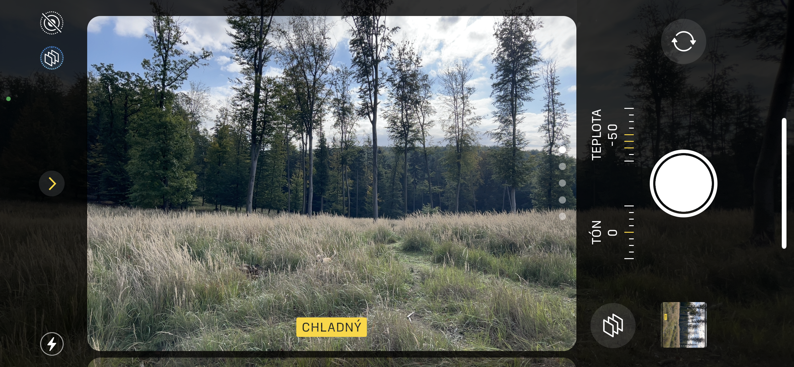 forest view camera interface